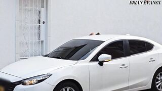 Mature Colombian Blonde Monique Fuentes Screws Her Driver in the Car - Brian Evansx