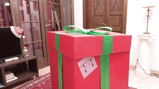 Magnificence Present Aperture From Elf-Angel!