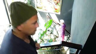 Amateur Husband and Wife Couple Banging Hard at Home