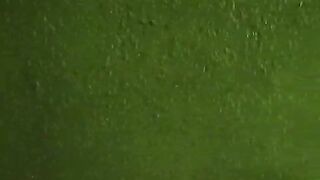 Veracruz river mouth