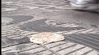 Candid Feet Crush Bread