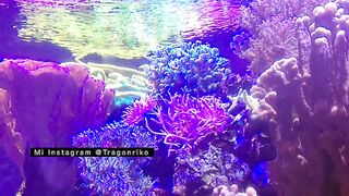 "The Slutty One" - Porn Story Audio