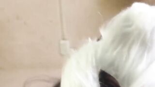 Today I'm a Naughty Kitten Who Desires Milk