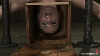 Sophie Monroe Day 4 Endurance and Predicament Testing with Some Assist From Orlando