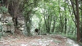 Impure old pig bangs a cute teen