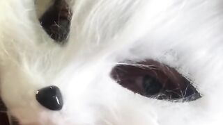 Today I'm a Naughty Kitten Who Craves Milk