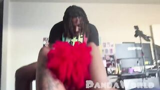 Lord Panda Gets 2 Chocolate Doxies for Valentine's Day Pt 1