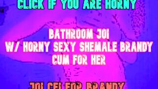 Be Dominated by a Shemale on Your WC Washroom JOI CEI