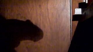 shadow of my dong