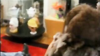 Small black bitch want to have some fun with these white dudes