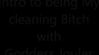 Cleaning Whore 101