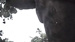 WHIPPED ASS SLAMS HARD ON RISING SAND AND SUN