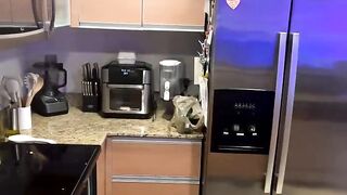 Live Stream with Dani Valentina