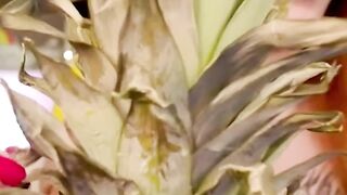 Pineapple fetish erect
