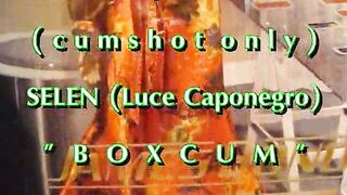 B.B.B.preview: SELEN's BoxCum (spunk fountain merely)