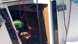 Giving oral job on a boat