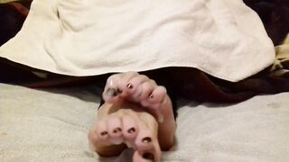 Spreading thick cum between my toes - cum on feet