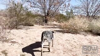 Banging and Sucking in the Las Vegas Wetlands