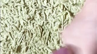 Cumming 2x sounding my wang