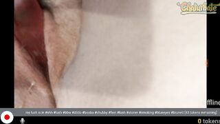 BBW solo web camera compilation