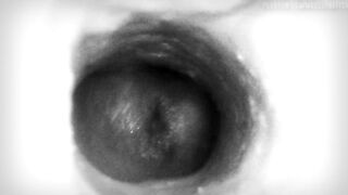  Creampie, but the camera is in the vagina.