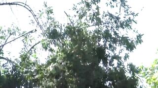 Lustful brunett teen bends over and gets slammed hard as fuck