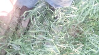 Aged big shlong peeing outdoor in front yard
