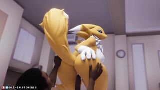 Renamon Yiff Compilation: Volume 1