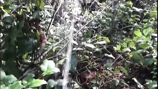Pissing Fun on a Hike