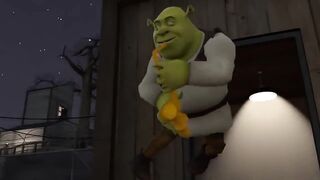 SHREK IS LOVE, SHREK IS LIFE, SHREK IS SAXOBOOM