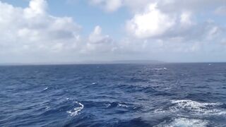 Caribbean Cruise with Sexy GILF MILF Candi Annie