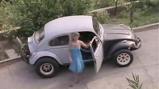 trio Housewife Fantasy From 1972