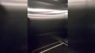 Shy 18yo Gets Convinced in Elevator to Show Her Melons Then Creampied