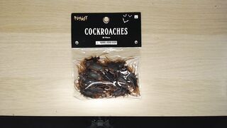 Ahh! Fake Cockroach Stomp