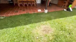 Walk with friends ended up better than I thought, I ended up fucking with the administrator of the arbnb