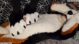 pawslut puppy gets back to back pawjobs with giant 2nd ejaculation at the end