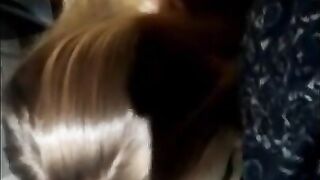 Tinder Beauty Fuck and get Cum on Face. Ethnic Restaurant Public Throne Room Fuck!