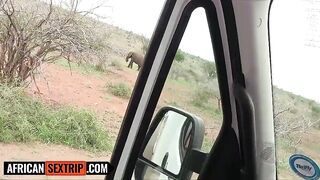 My EBONY GF got despairing on safari... she begged me to screw her with my BWC right there on the roadside