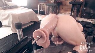Pup Jake cums in 60 seconds getting drilled