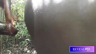 RevealMe -- BLACK GAY COUPLE FOREST FUCKFEST: WILD DICK-WANKING & ANAL ADVENTURE