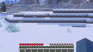 Minecraft but if i take harm i get..railed?