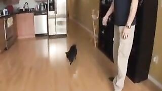 Jenaveve Jolie Sports Bang