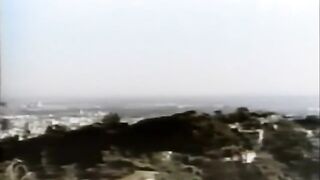 Too Worthy To be True (1984)