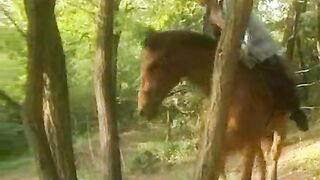 They Screw On Horses, Don't They