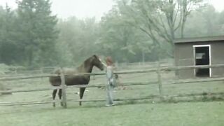 The Erotic Adventures of Ll.... (1982, 35mm, full clip)