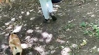 ANAL on a Dog Walk – Full Movie scene Scene