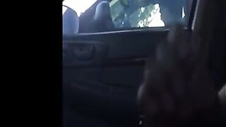 Schlong Flash Compilation