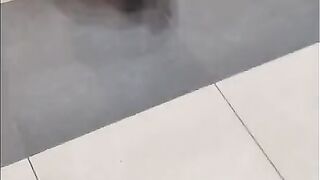 Mother I'd Like To Screw hunter chasing high heels cougar from shop to car for sex