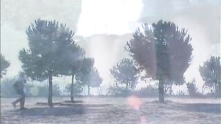 Nice-looking butterflies