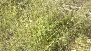 Pervert masturbate on sunbathing exposed woman on wild beach and ejaculation POV